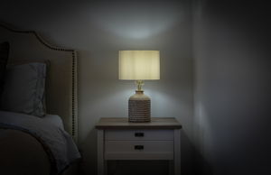  Photo 46