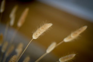  Photo 34