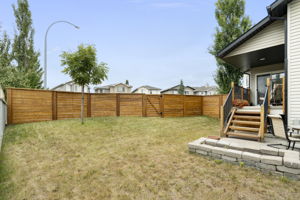  Photo 53