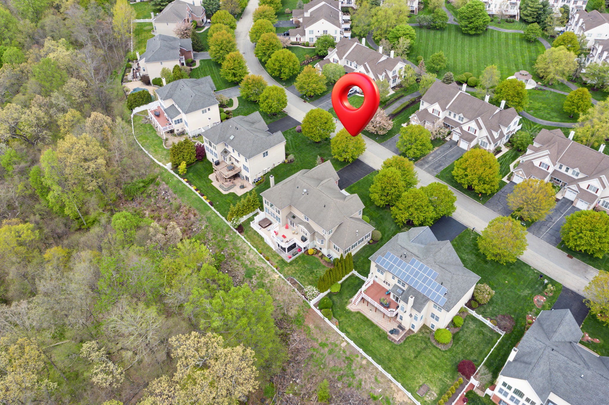  Photo 101
