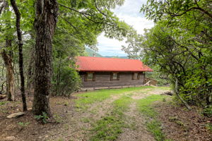  Photo 46