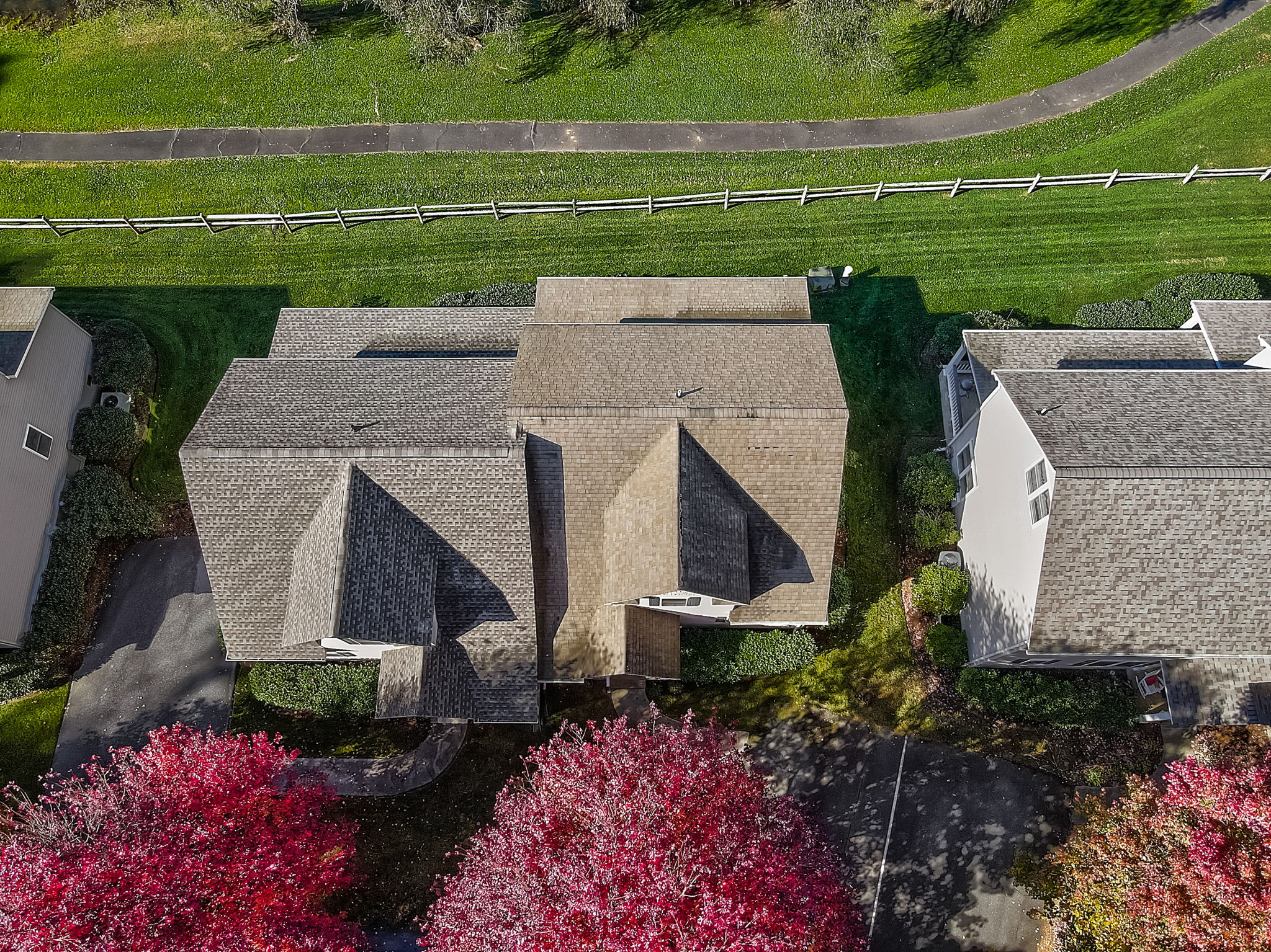 Little gandfather christmas tree farn laural spings nc