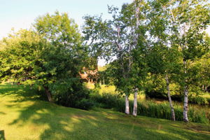  Photo 33