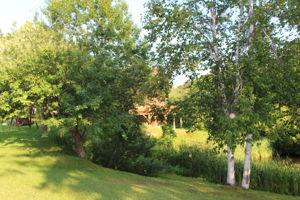  Photo 30
