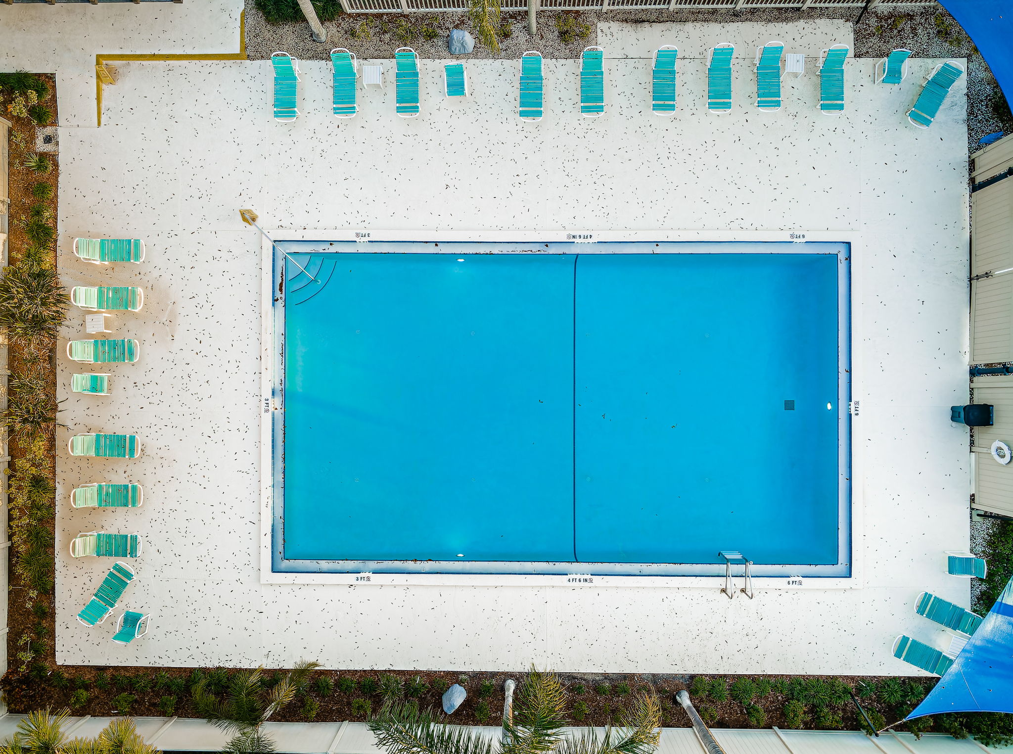 6-Pool
