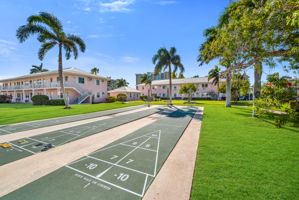 Shuffle board View 2