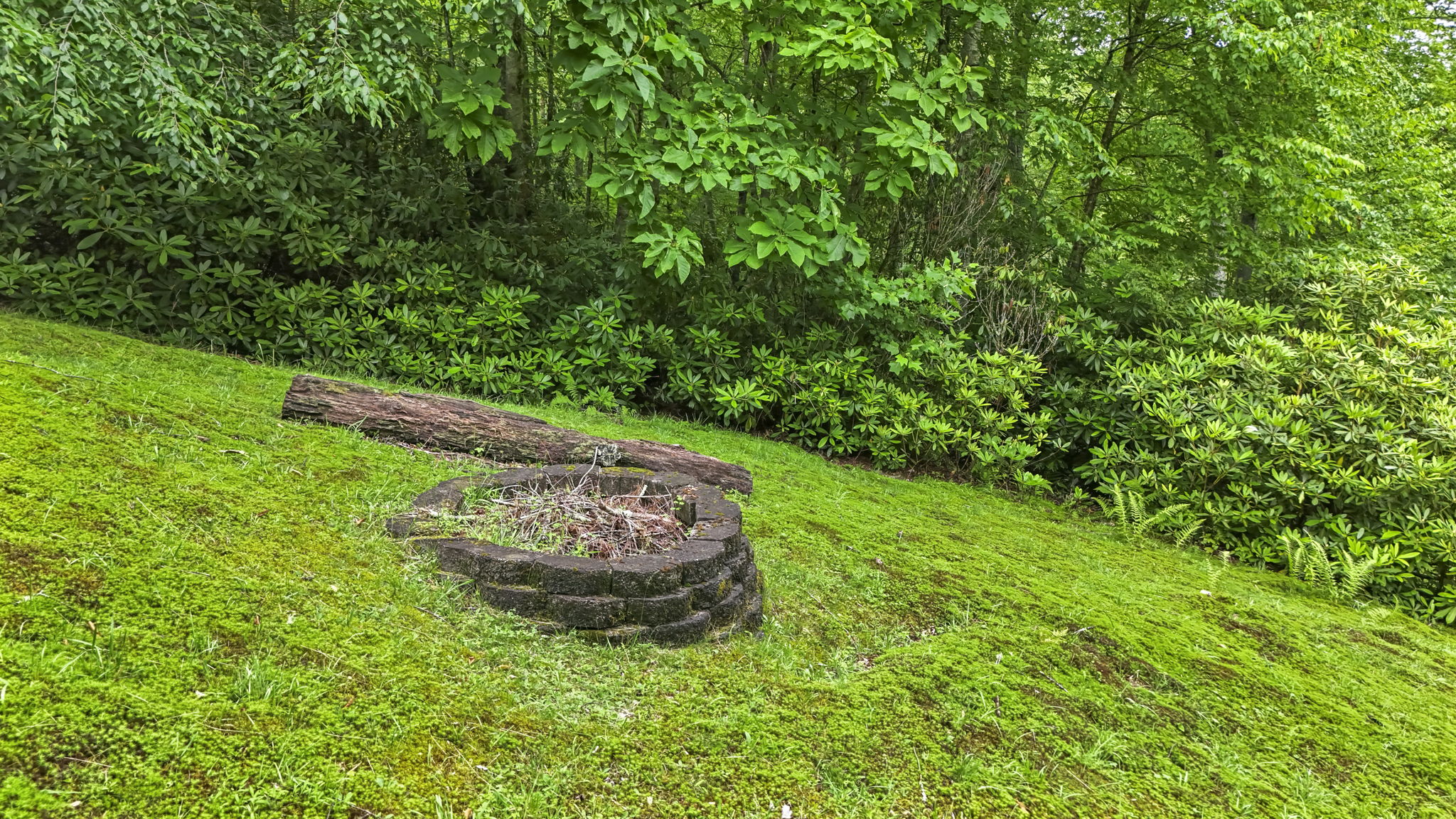 DJI_20250619035712_0682_D
