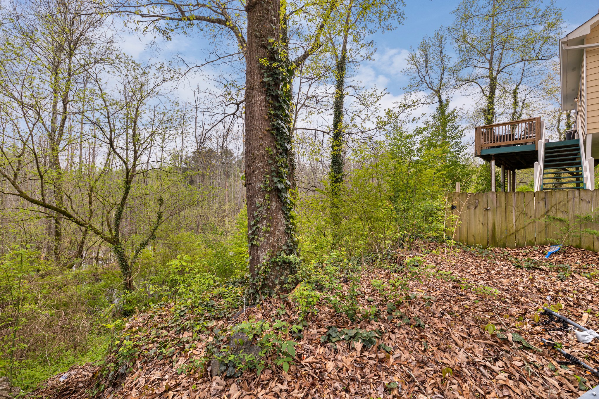 Wooded view!