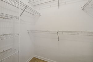 Primary Bedroom Closet