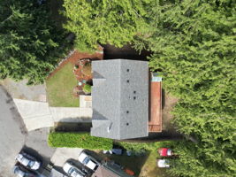  Photo 49