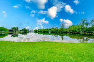 3471 NW 43rd Pl, Fort Lauderdale, FL 33309, USA Photo 23