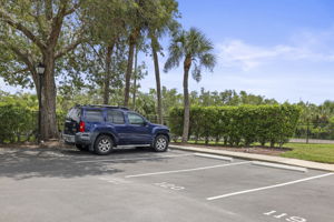 Parking Spot - 495A0035