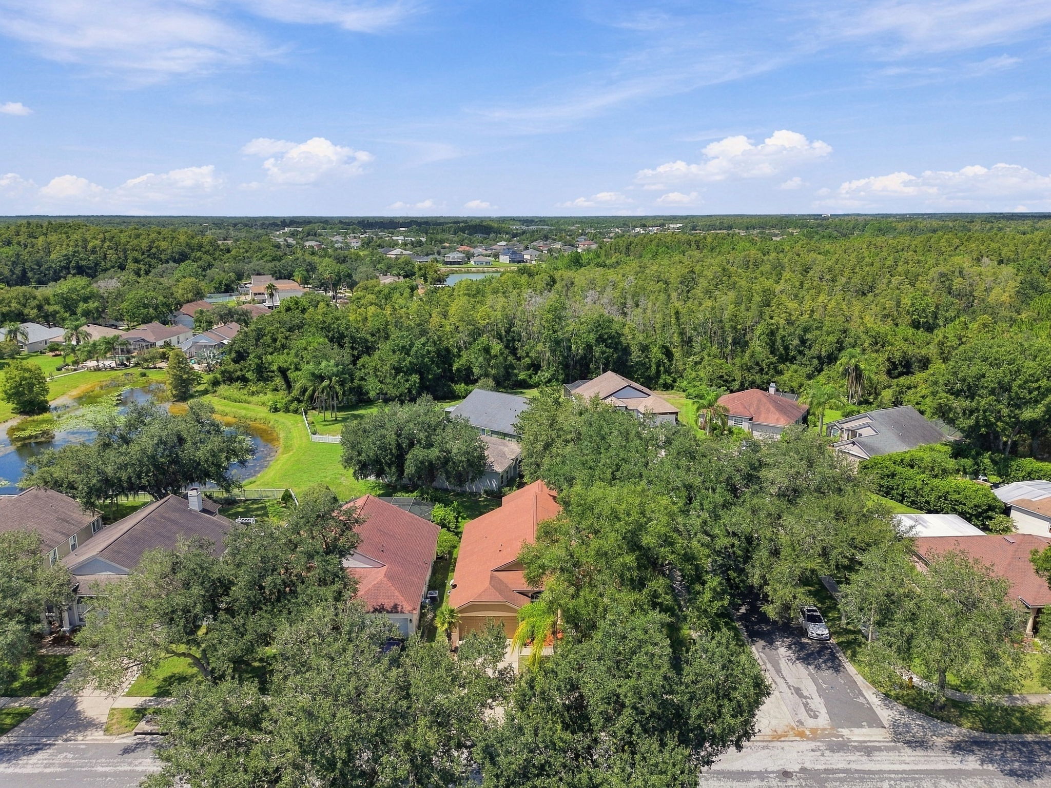 DJI_0056