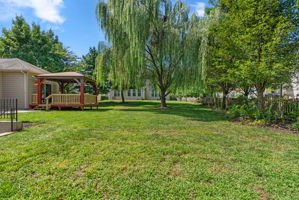  Photo 45