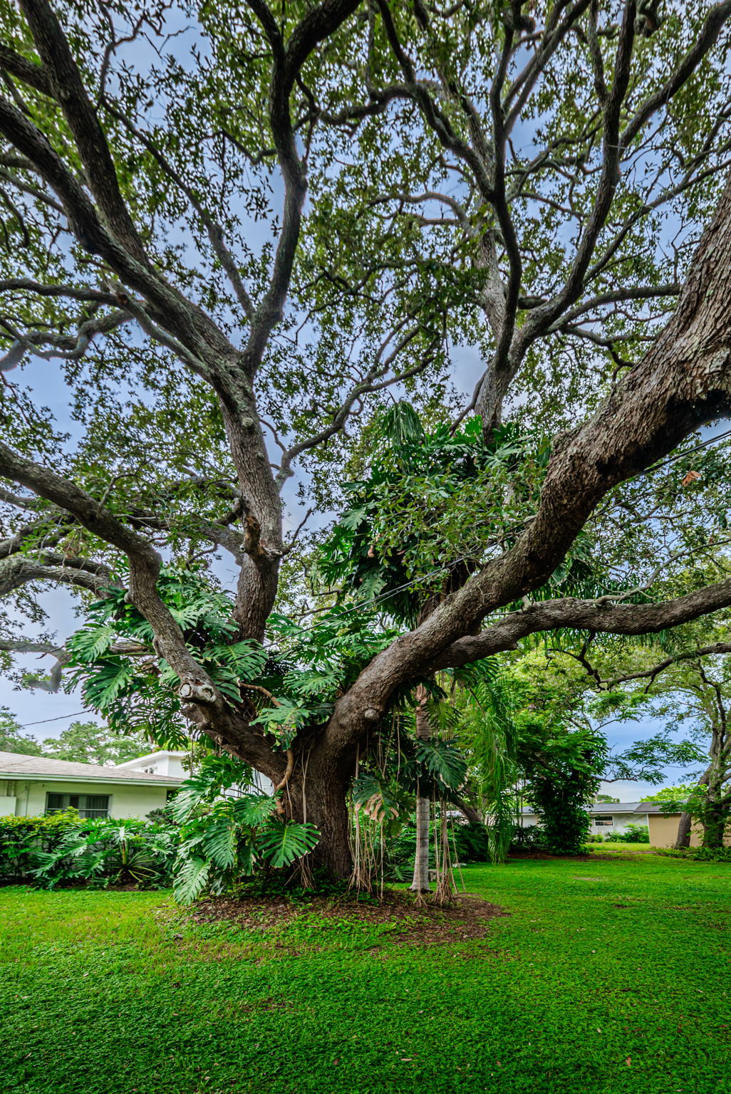 Backyard9