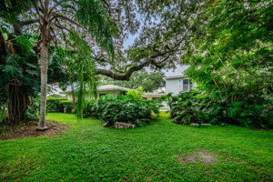 Backyard19