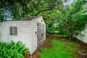 Backyard24