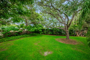 Backyard10