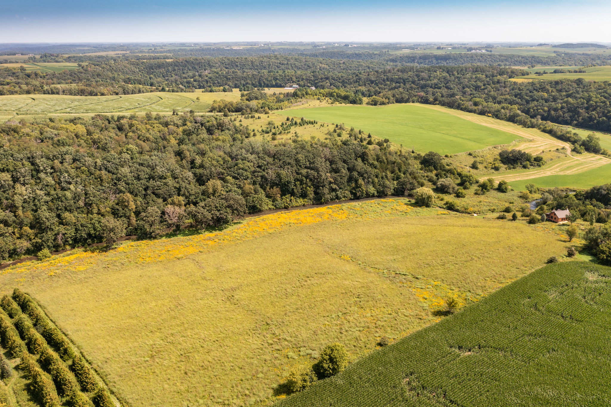 39-Aerial View