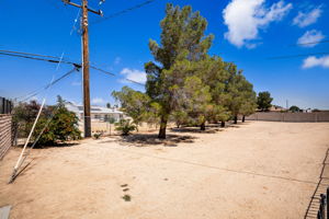  Photo 33