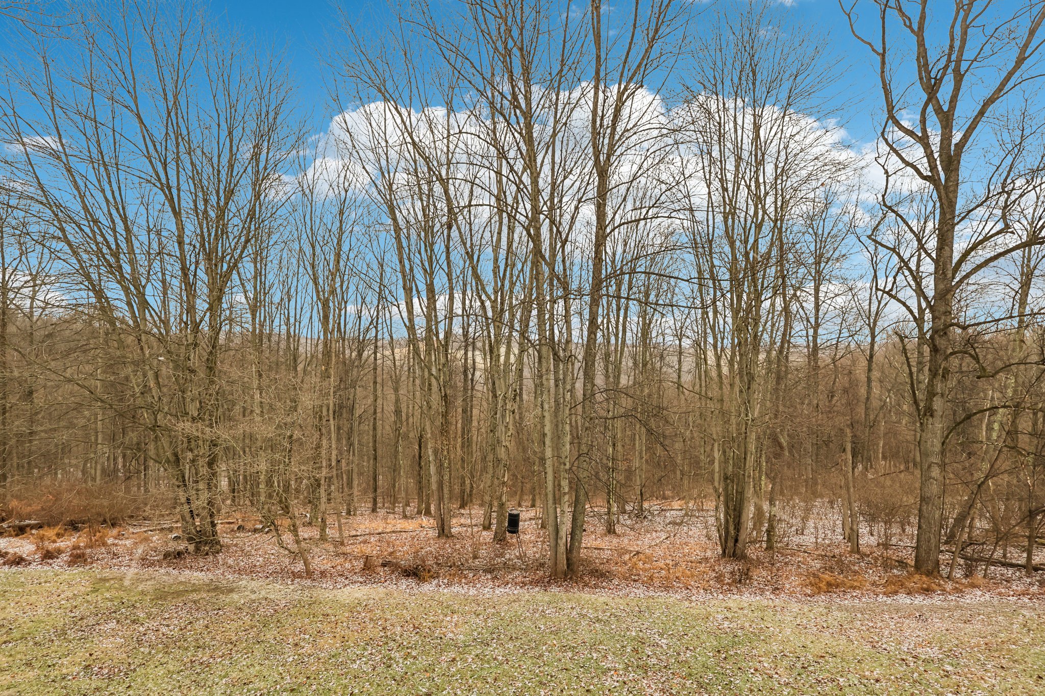 Castile Ridge Rd-S2012-061.jpg