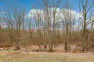 Castile Ridge Rd-S2012-061.jpg