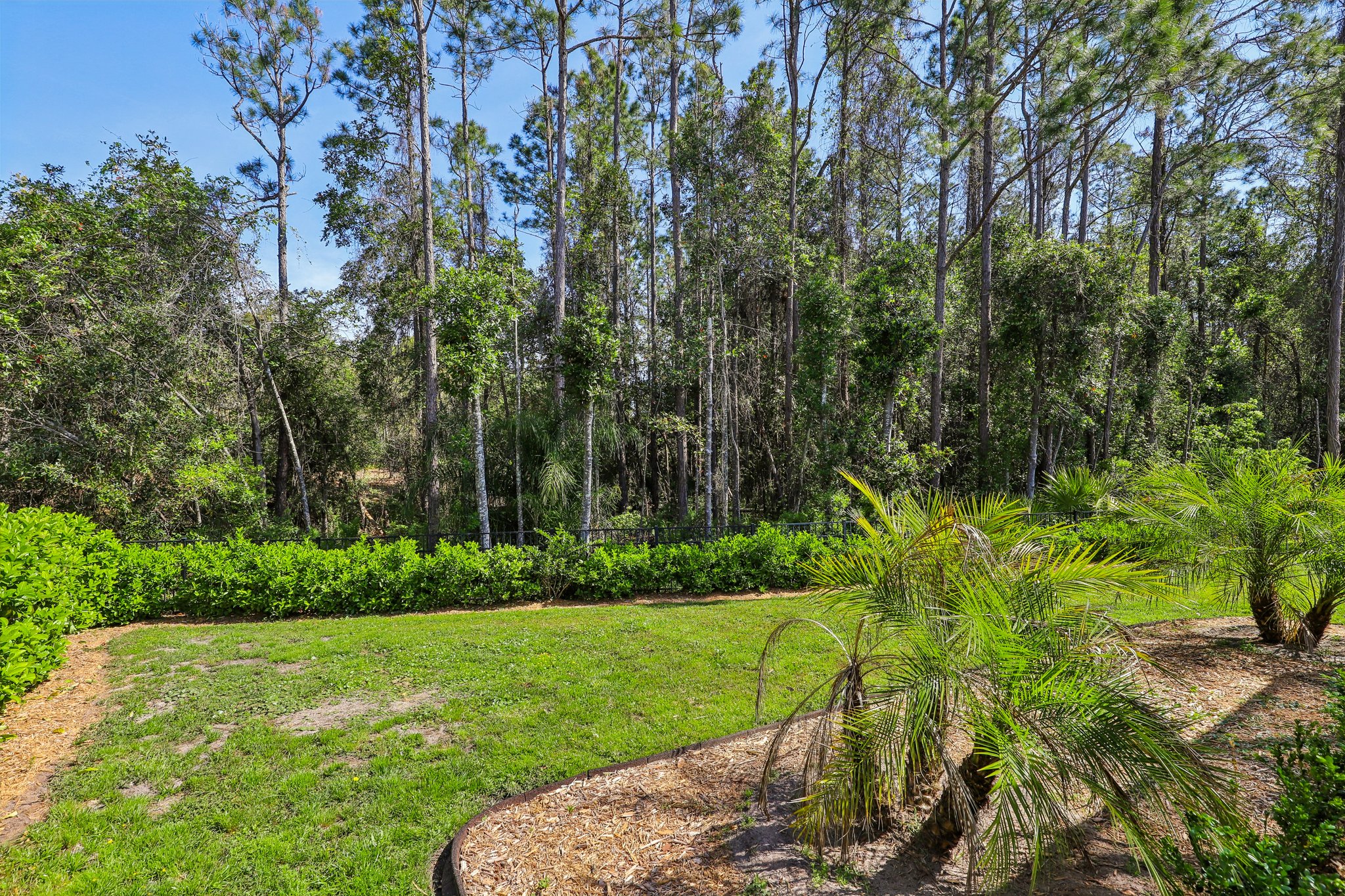 Cornwall Drive  Ponte Vedra-28032025-045.jpg