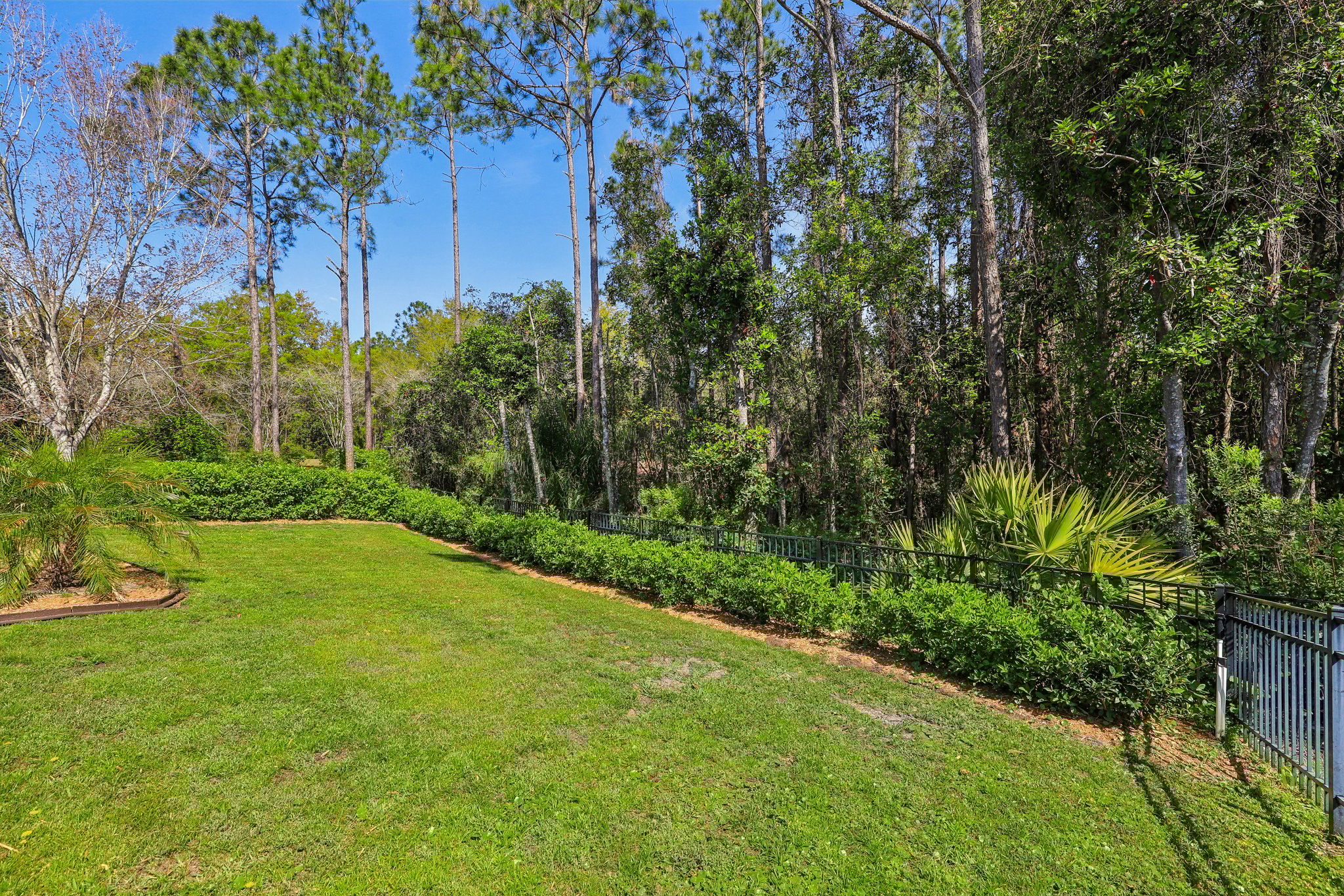 Cornwall Drive  Ponte Vedra-28032025-049.jpg