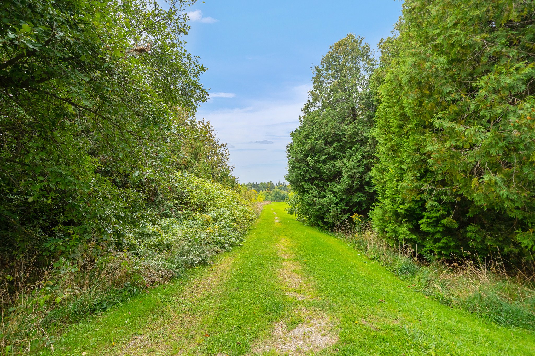 191 Main St S, Grand Valley, ON L0N 1G0, Canada Photo 65