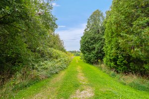 191 Main St S, Grand Valley, ON L0N 1G0, Canada Photo 64