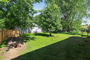  Photo 50