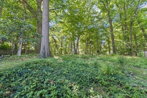 S Belvoir Blvd-S1209-047.jpg