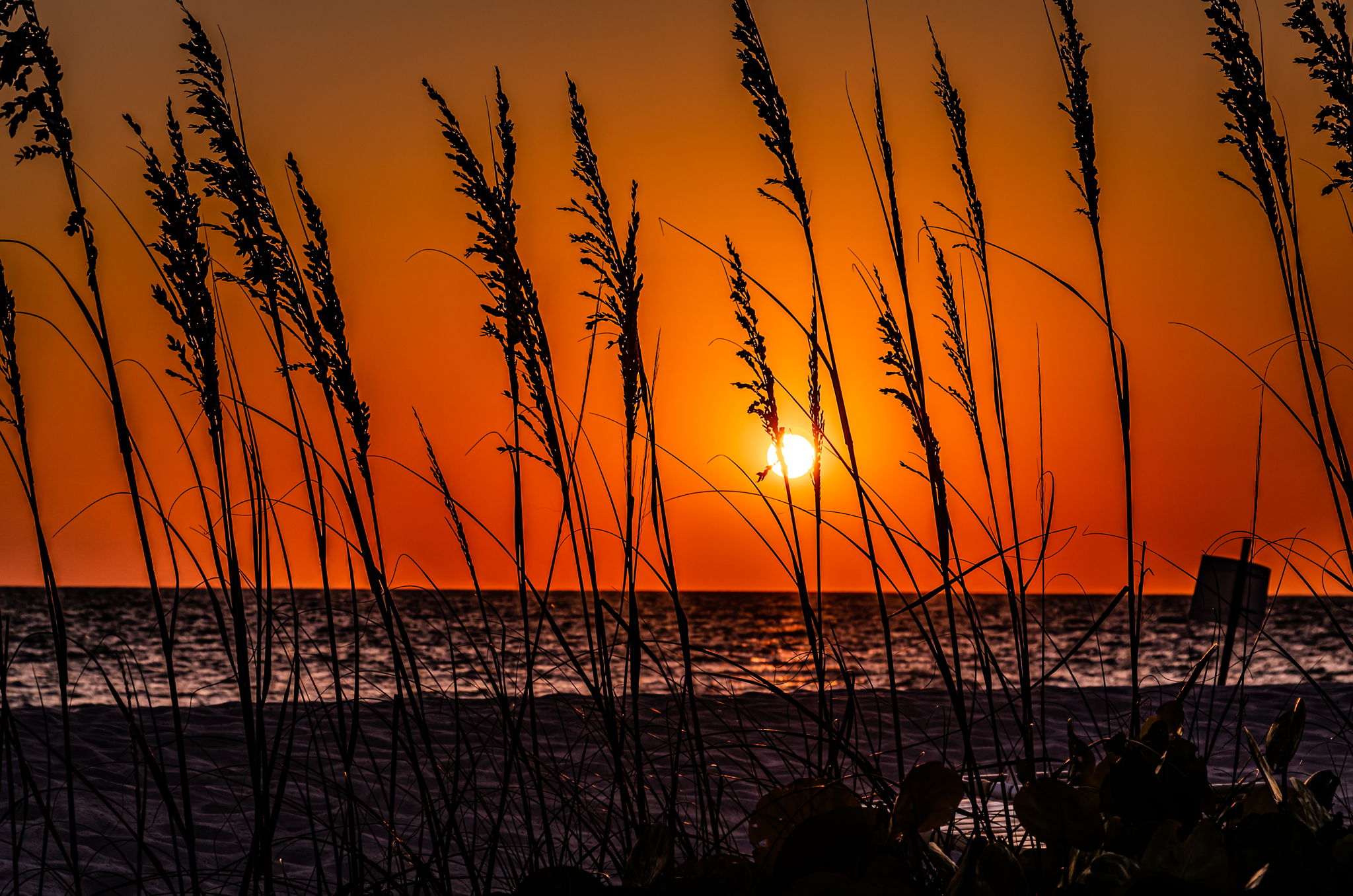 Sunset (1)