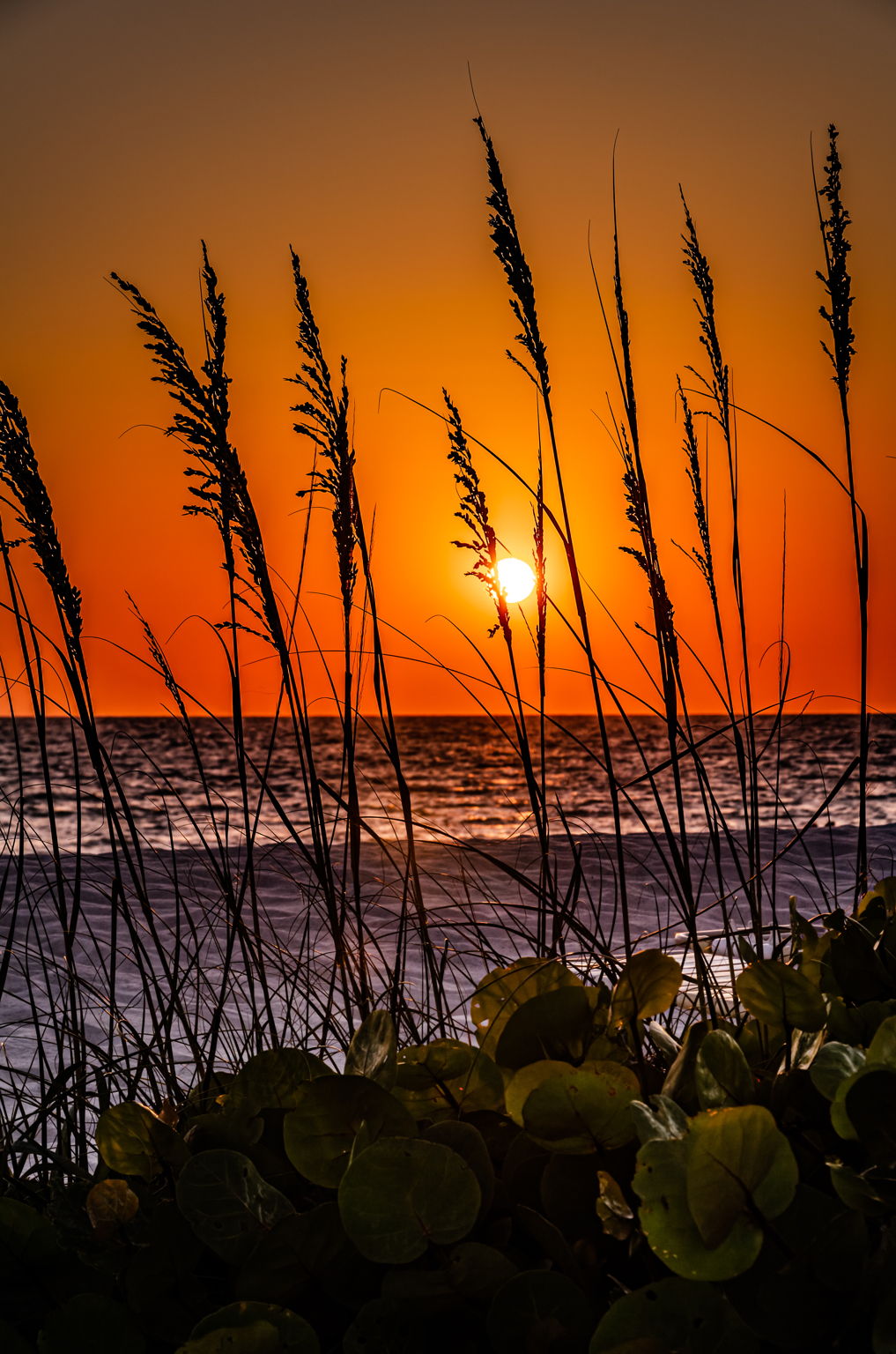 Sunset (2)