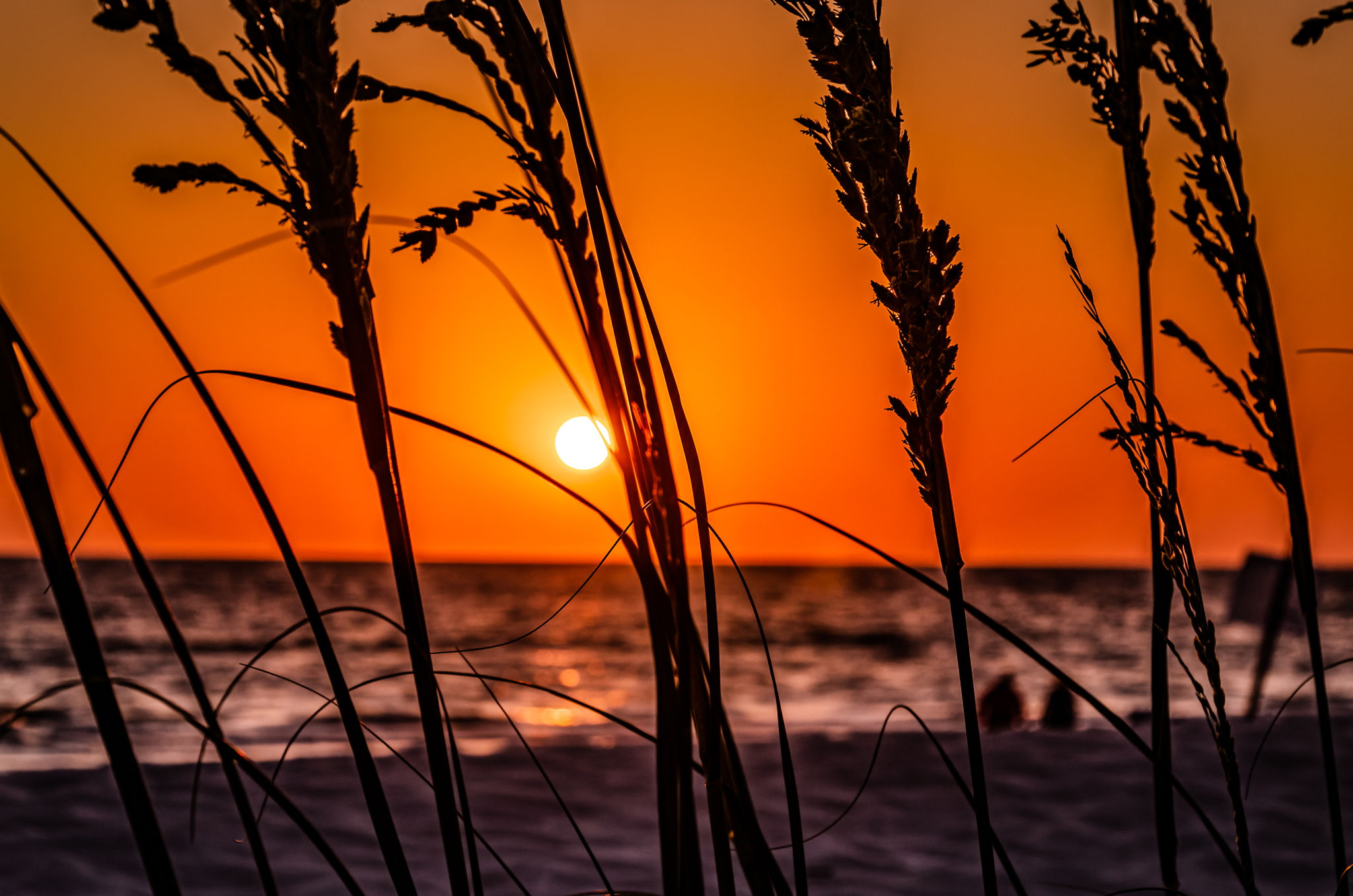 Sunset (4)
