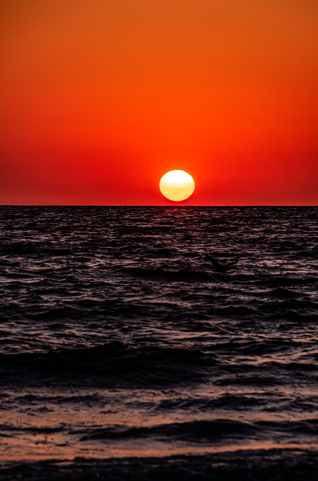 Sunset (31)