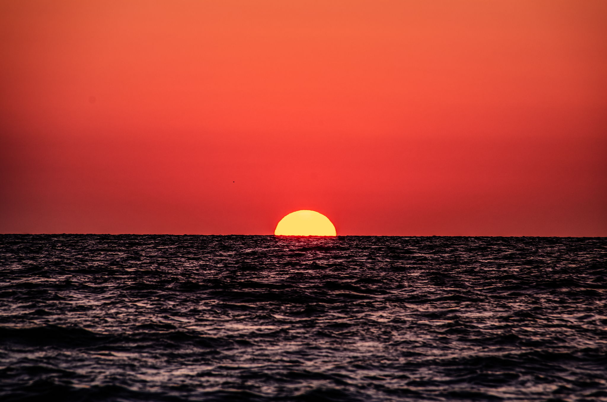 Sunset (41)