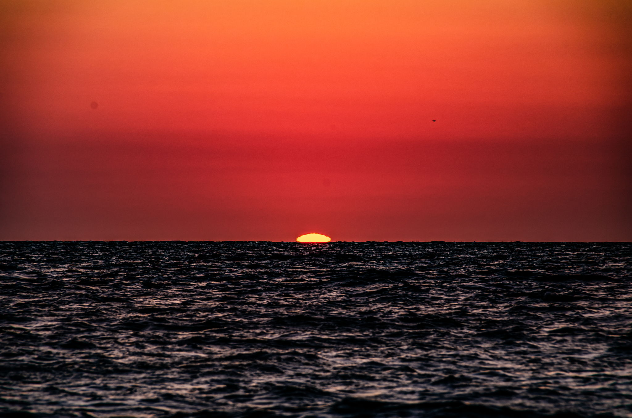 Sunset (46)