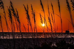Sunset (1)