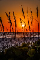 Sunset (2)