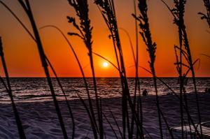 Sunset (3)