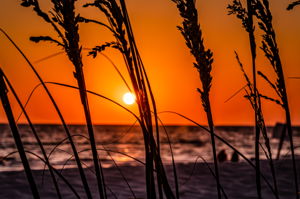 Sunset (4)