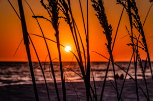 Sunset (5)