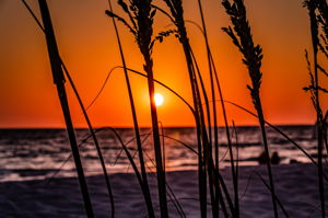 Sunset (6)