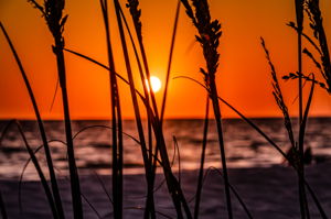 Sunset (7)