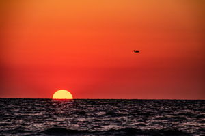 Sunset (40)