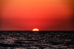 Sunset (42)