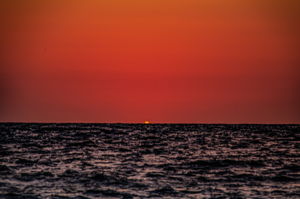 Sunset (47)