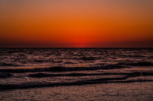 Sunset (50)