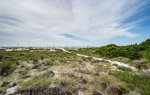 28-Backyard and Beach